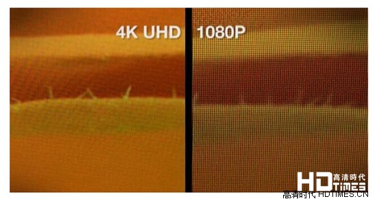 看了它才知道：4K和全高清电视哪个好 